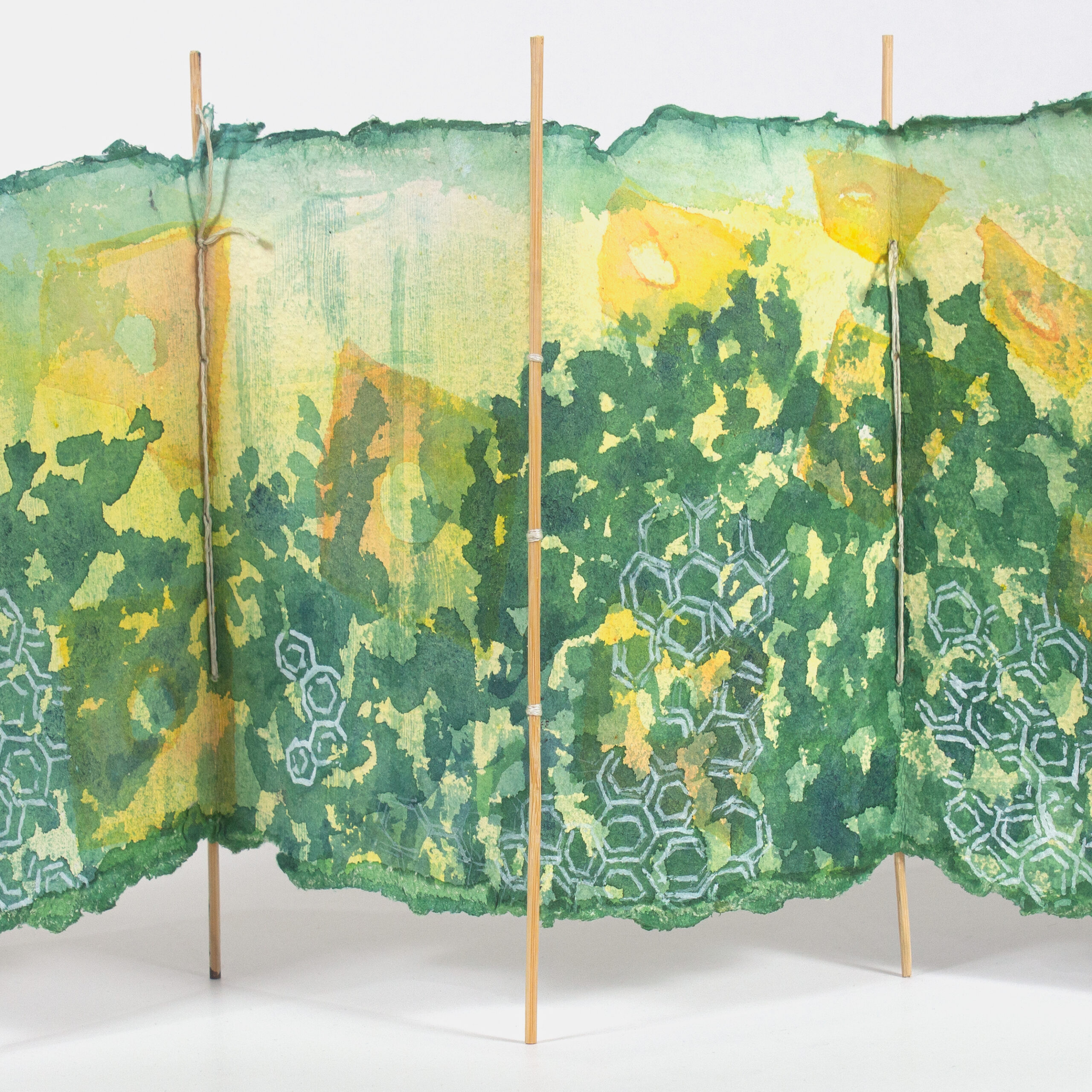 The call of the birds back_detail 2