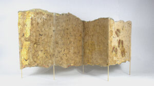 Walking on the broken roads front