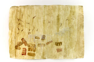 In search of a Place Called Home