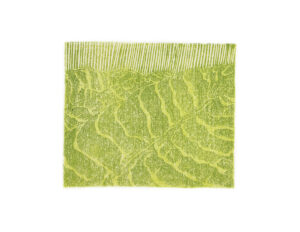 Tea gardens_mokuhanga_woodcut print on handmade japanese paper