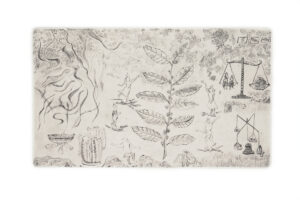 The arrival_Etching print on archival paper