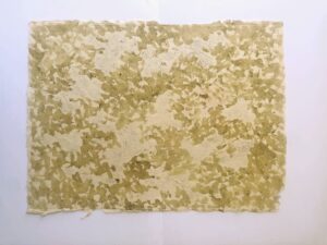 b) Islands Greens_2024