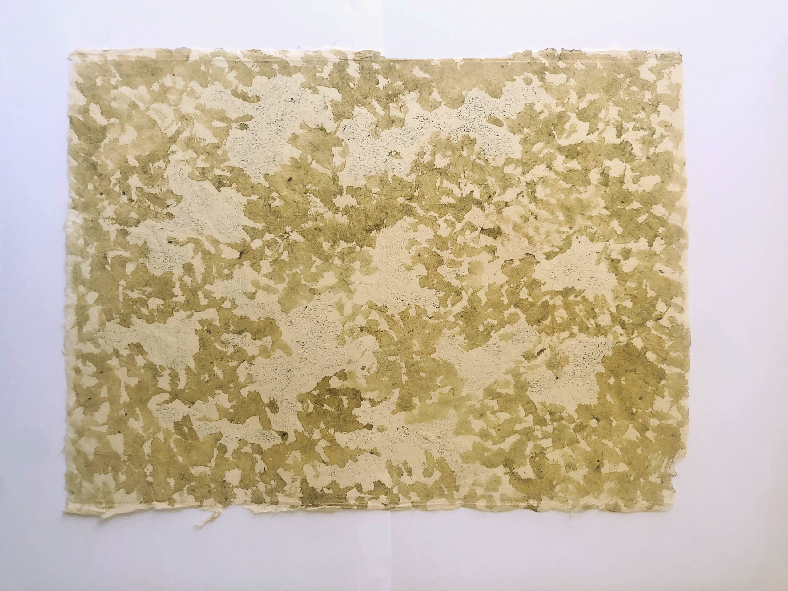 b) Islands Greens_2024